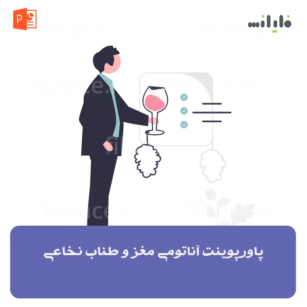 پاورپوینت آناتومی مغز و طناب نخاعی